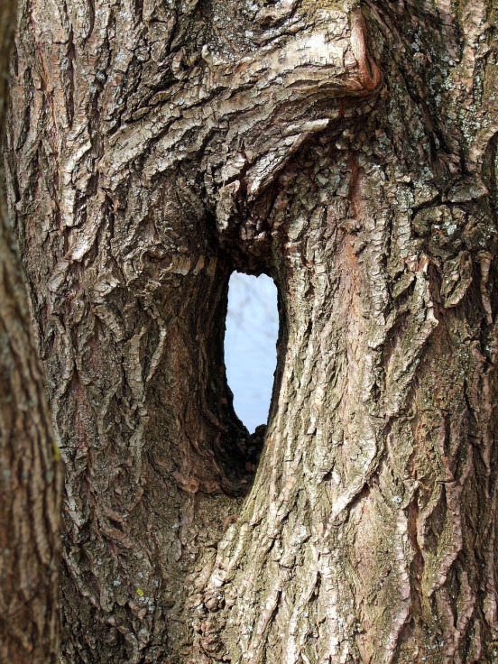 merger acquisition handshake